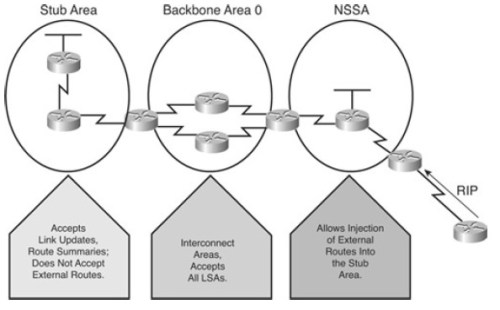 OSPF Area